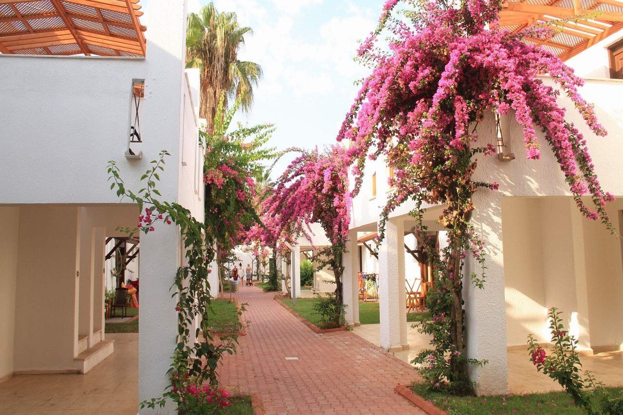 Club Kastalia Holiday Village Konakli Ngoại thất bức ảnh